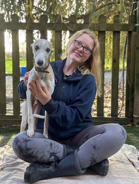 dog doggy day care in Sevenoaks and Edenbridge